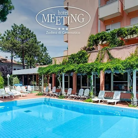 Meeting 3*